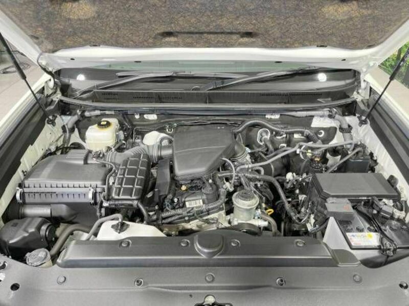 LAND CRUISER PRADO-19