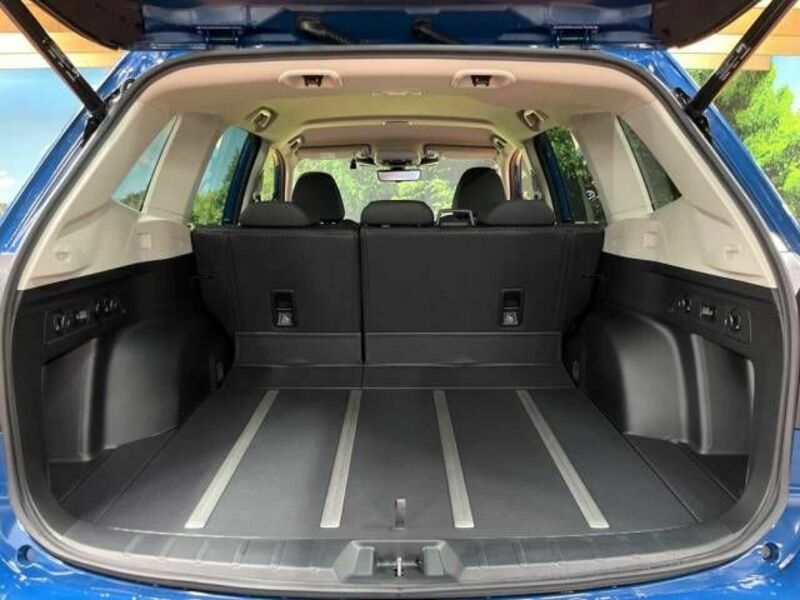 FORESTER-10