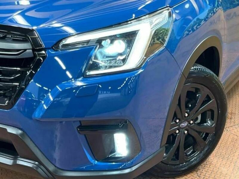 FORESTER-12
