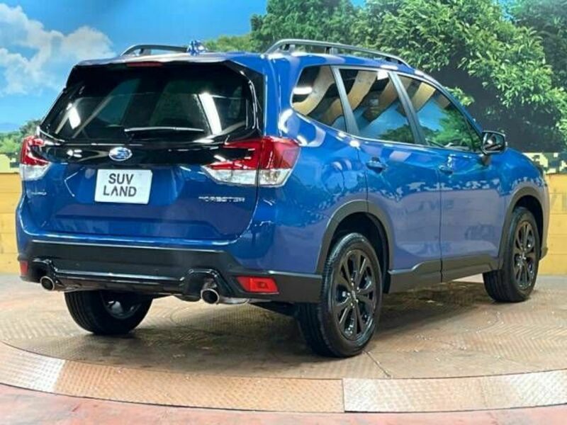 FORESTER-17