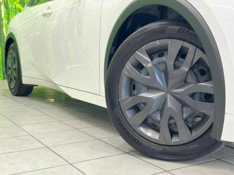 PRIUS-13