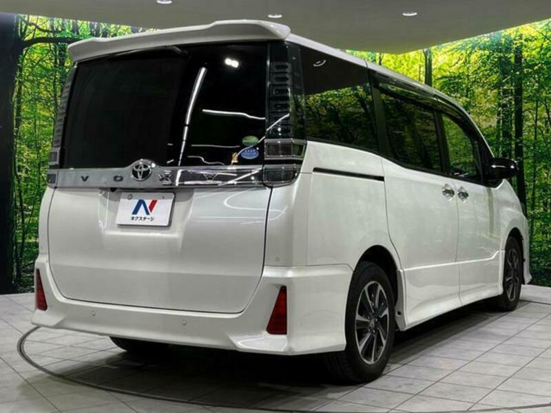VOXY-17