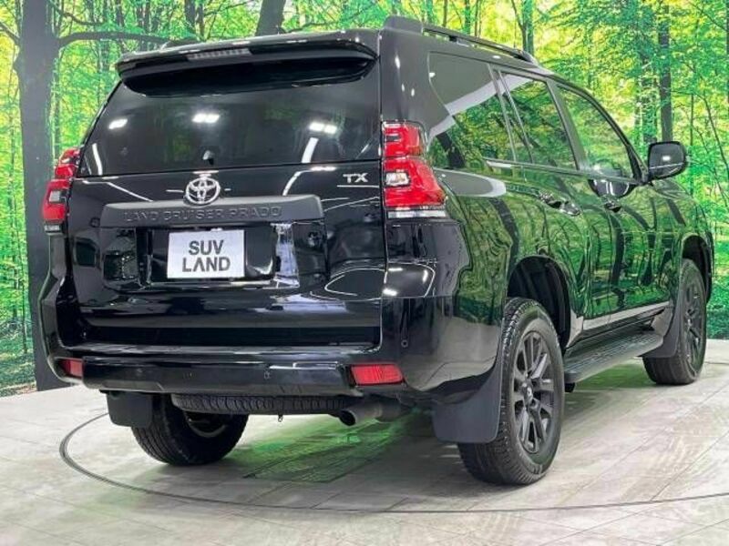 LAND CRUISER PRADO-18