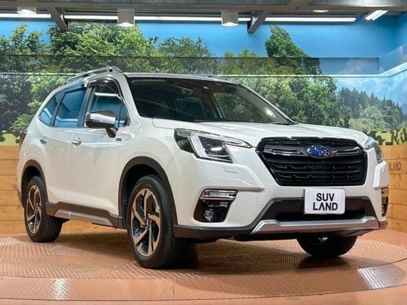FORESTER-16