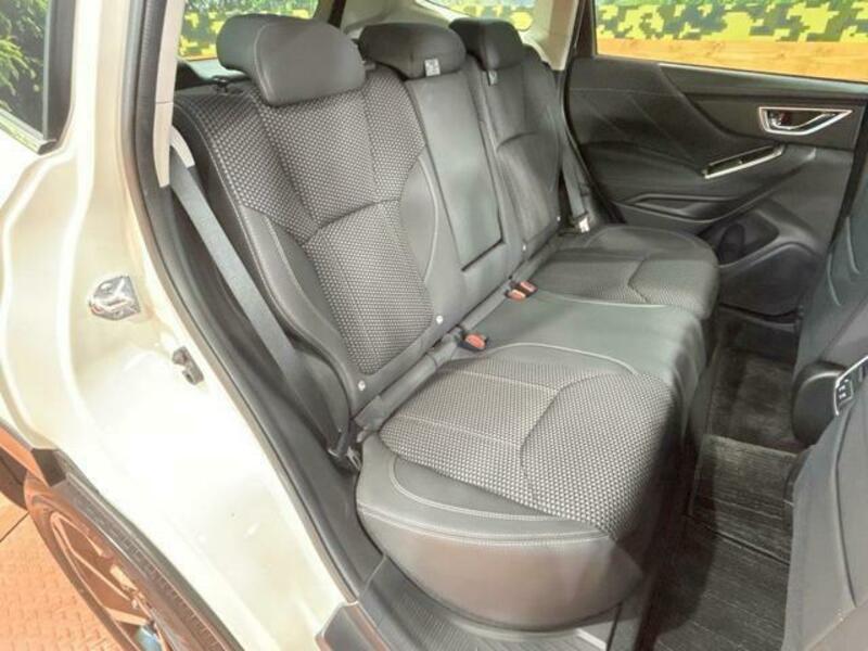 FORESTER-9