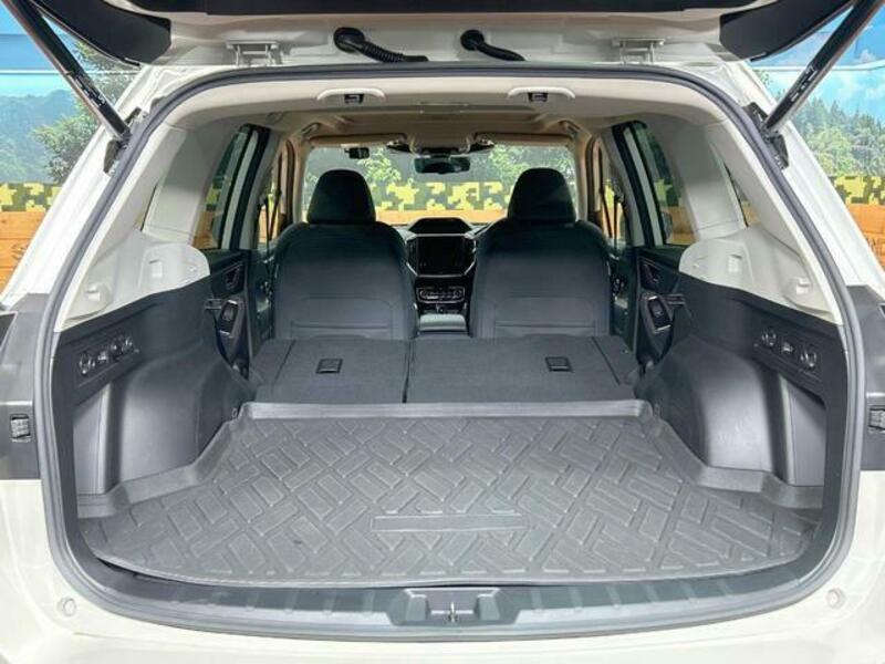 FORESTER-10