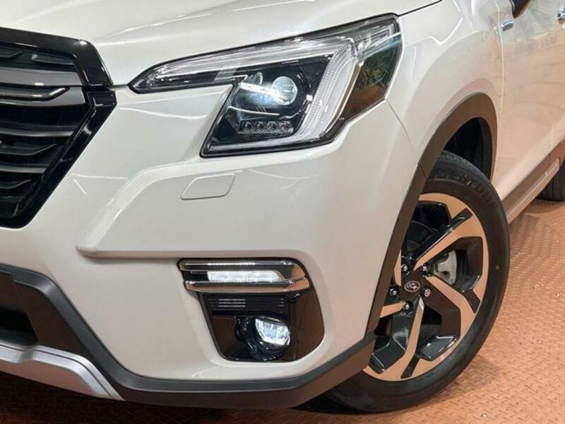 FORESTER-12