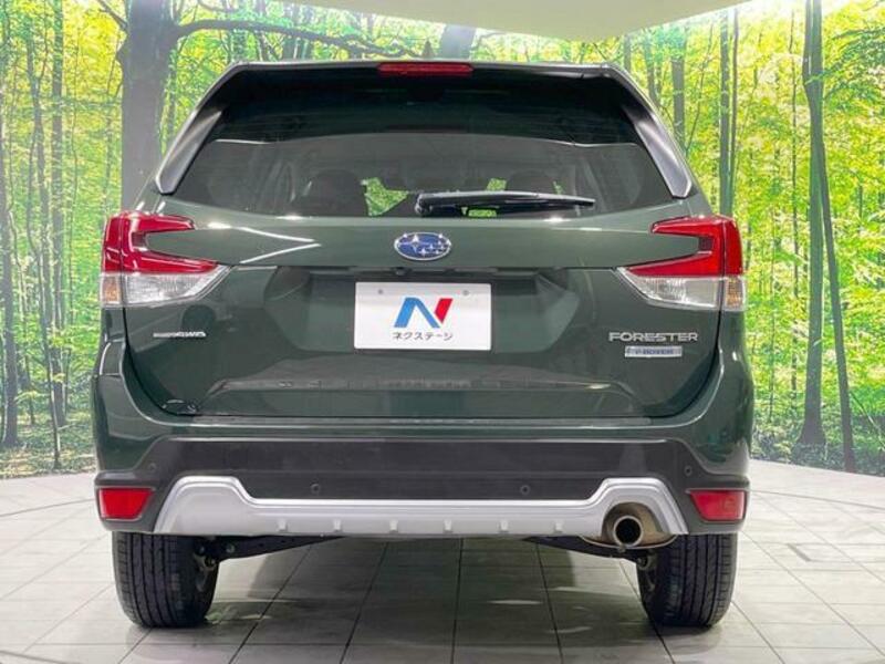 FORESTER-15