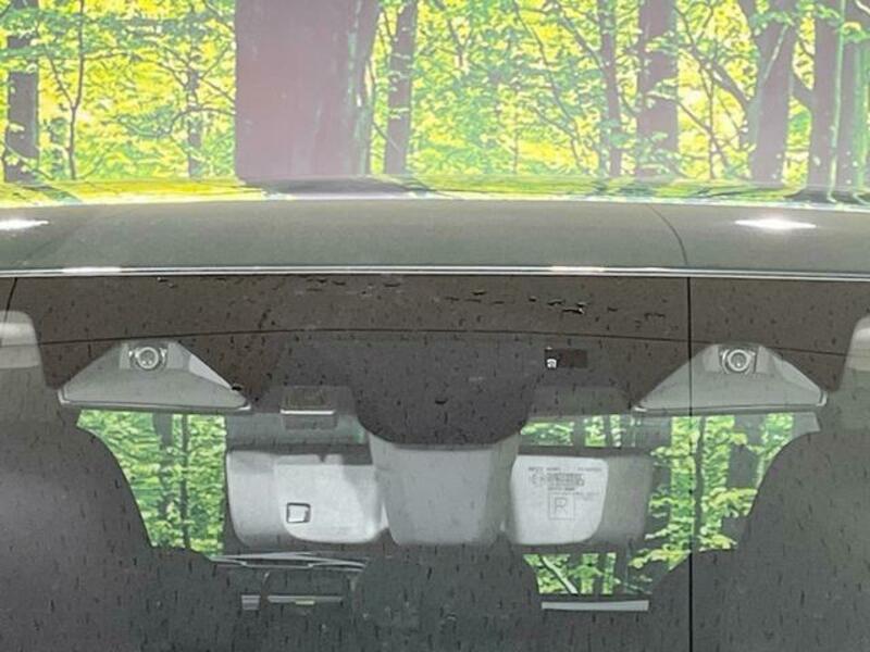 FORESTER-2