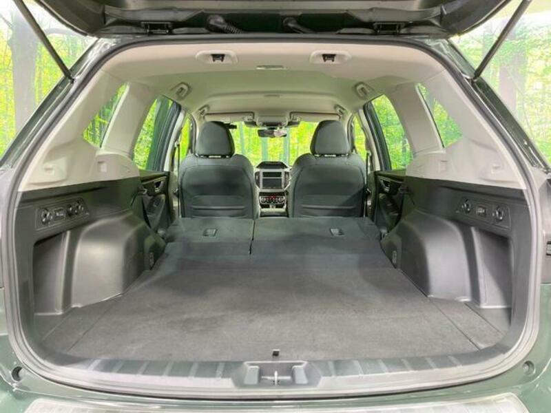 FORESTER-10