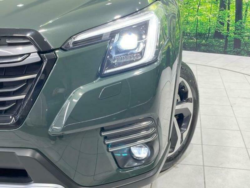 FORESTER-12