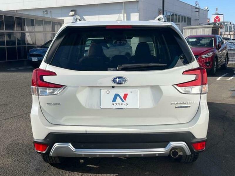 FORESTER-15