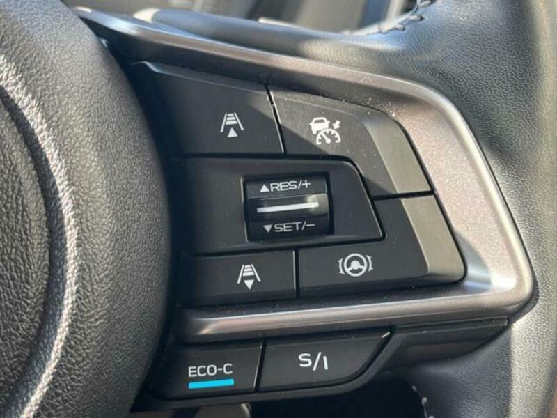 FORESTER-5