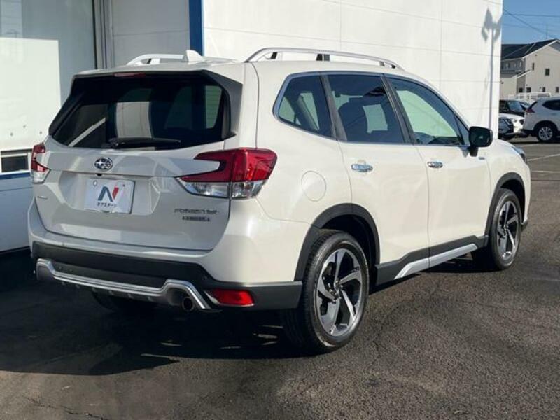 FORESTER-17