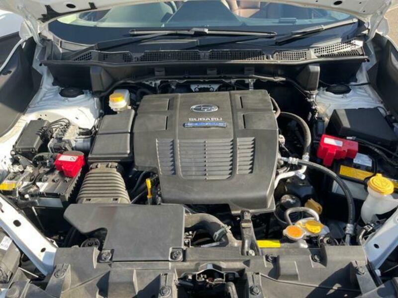 FORESTER-18