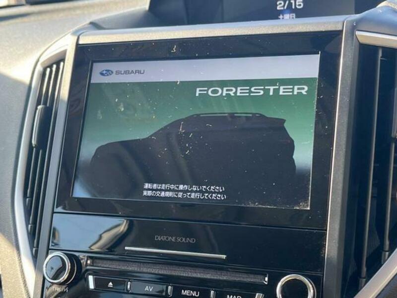 FORESTER-3
