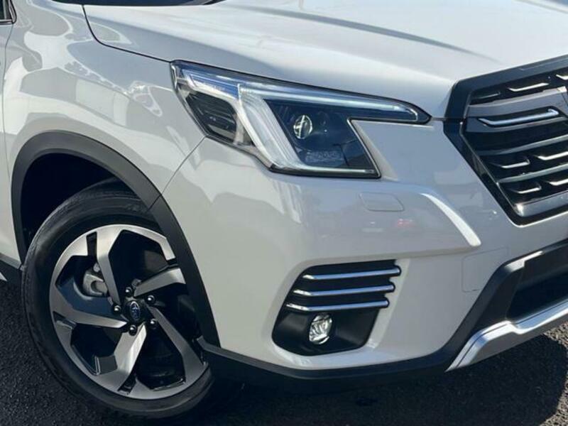 FORESTER-12