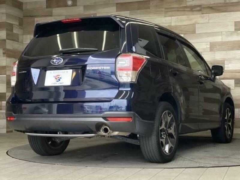 FORESTER-16