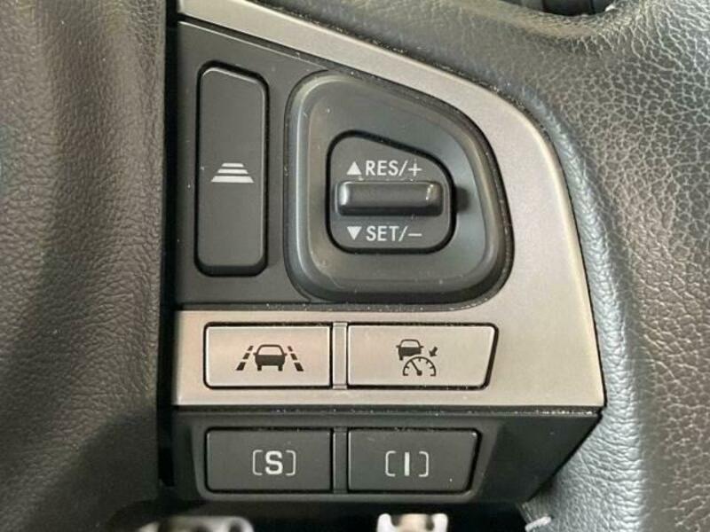 FORESTER-7