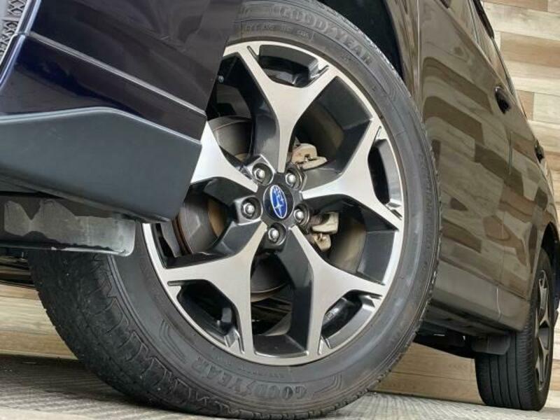 FORESTER-18