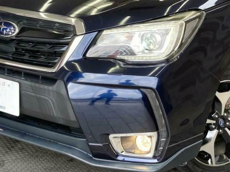FORESTER-19