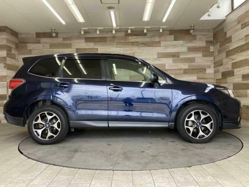 FORESTER-13