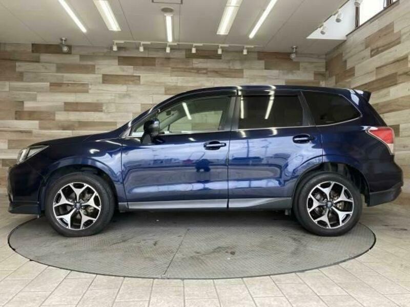 FORESTER-14