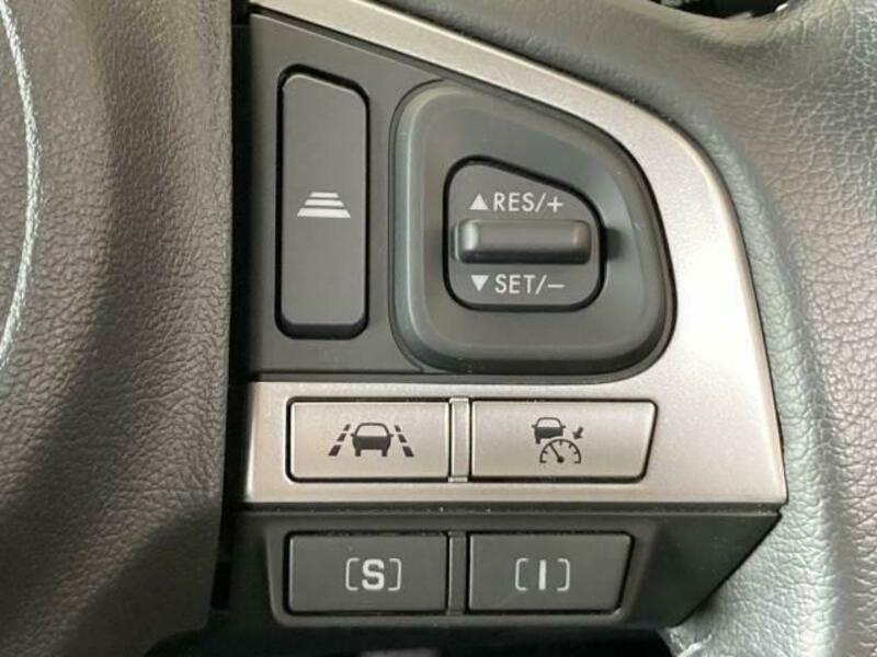 FORESTER-4