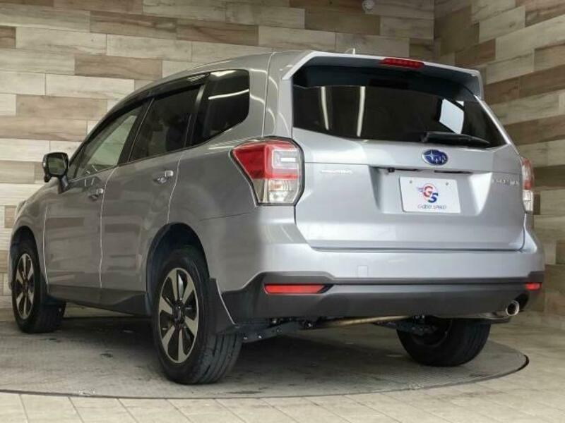 FORESTER-15