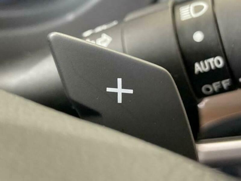 FORESTER-8