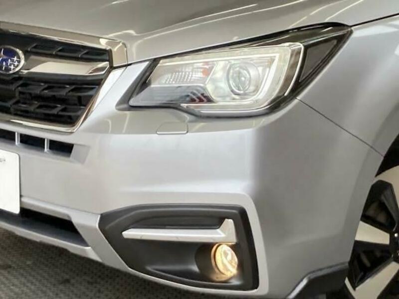 FORESTER-19