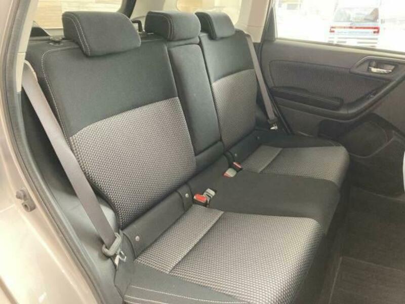 FORESTER-11
