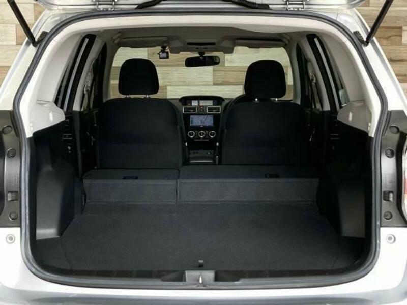 FORESTER-12
