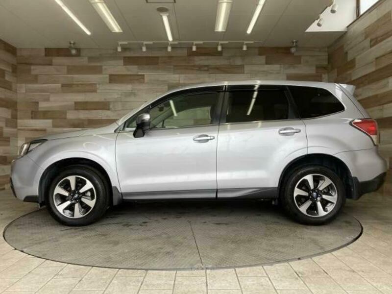 FORESTER-14