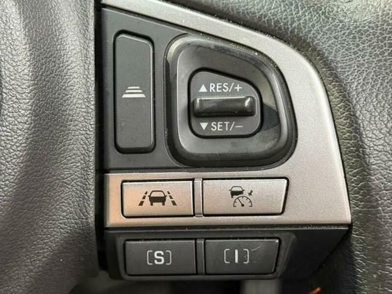 FORESTER-4