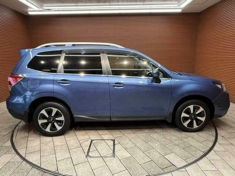 FORESTER-17