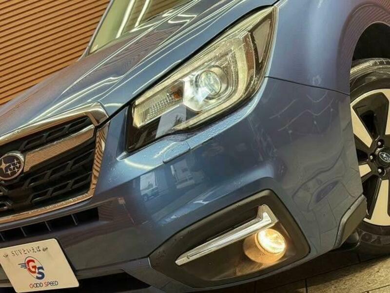 FORESTER-9