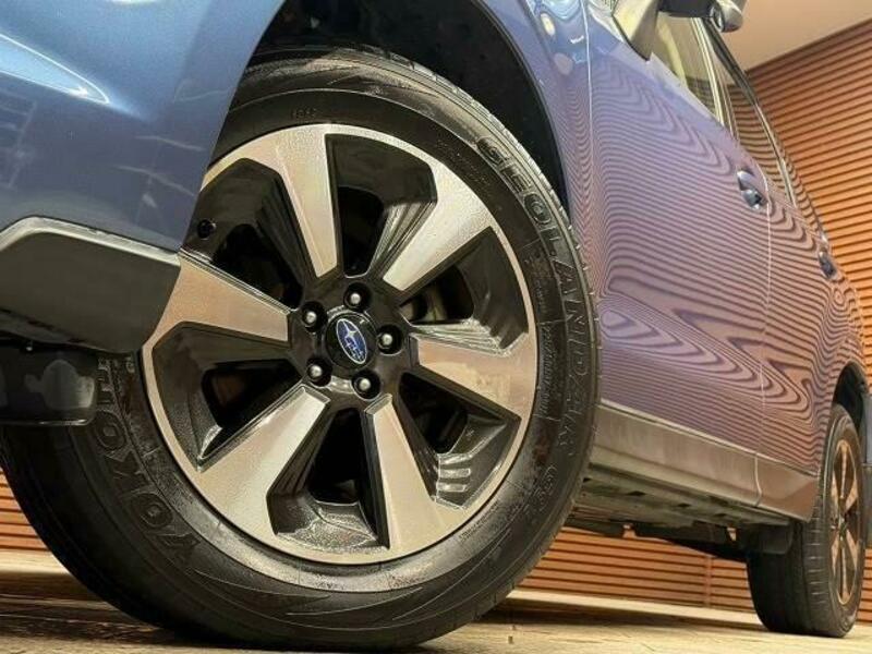FORESTER-10