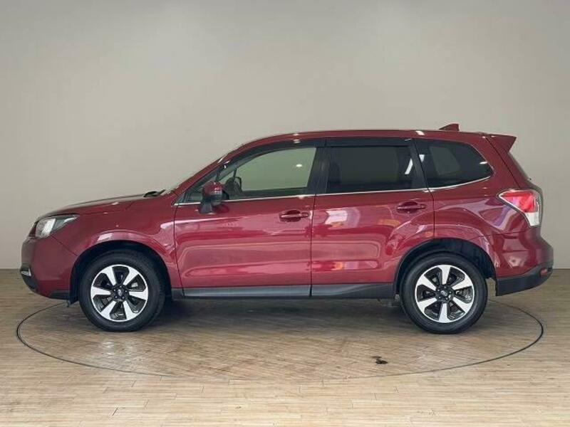 FORESTER-15