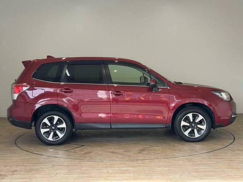 FORESTER-16