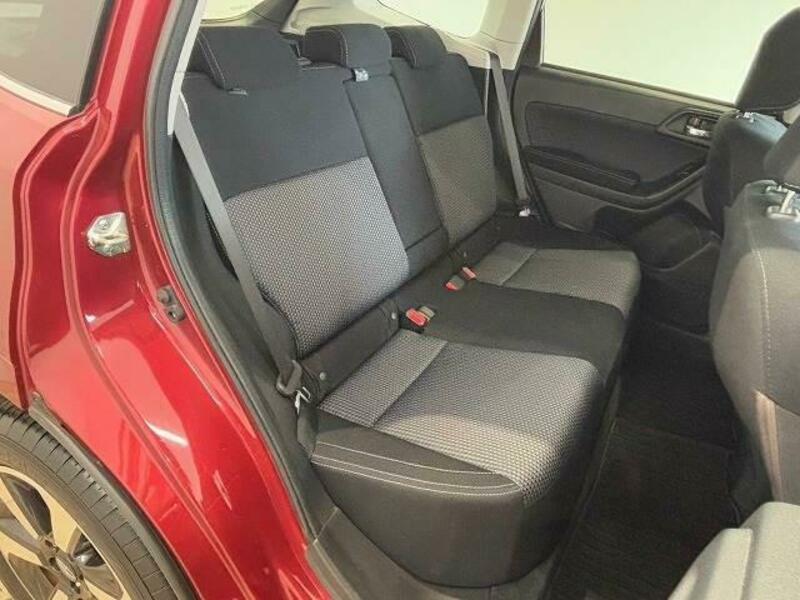 FORESTER-9