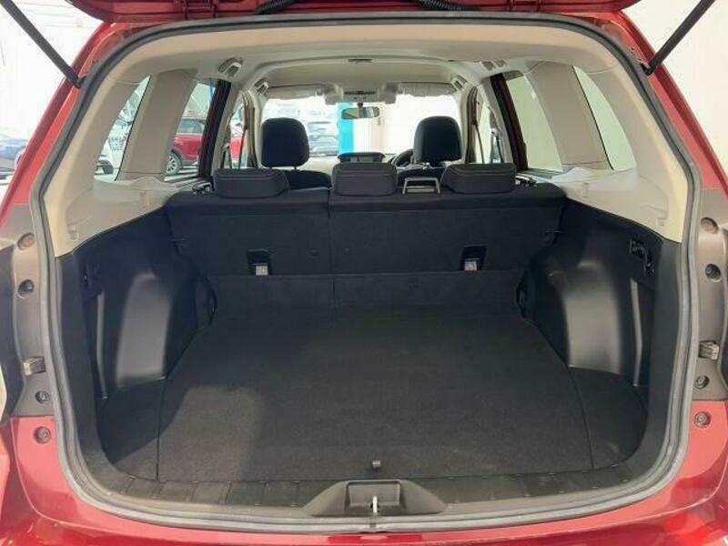 FORESTER-10