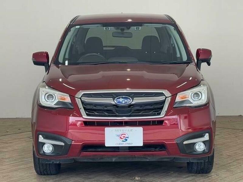 FORESTER-11