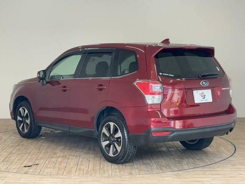 FORESTER-13