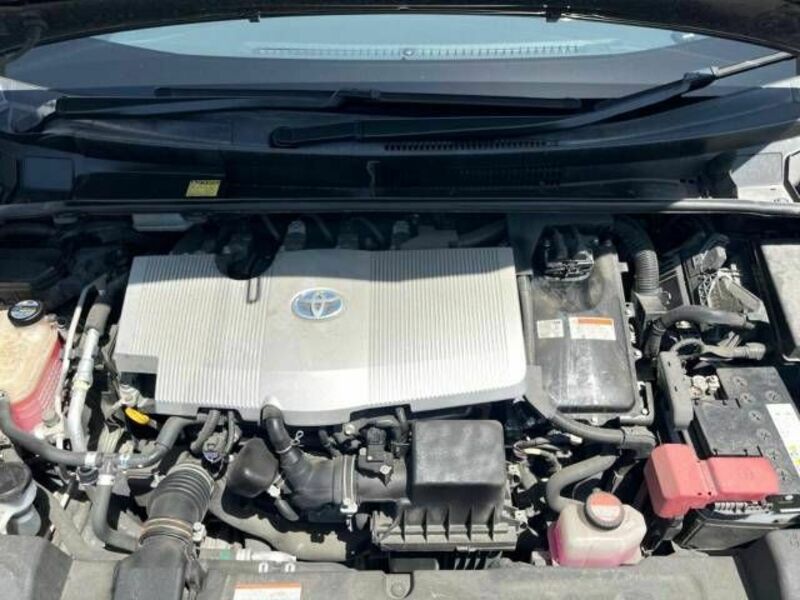 PRIUS-17