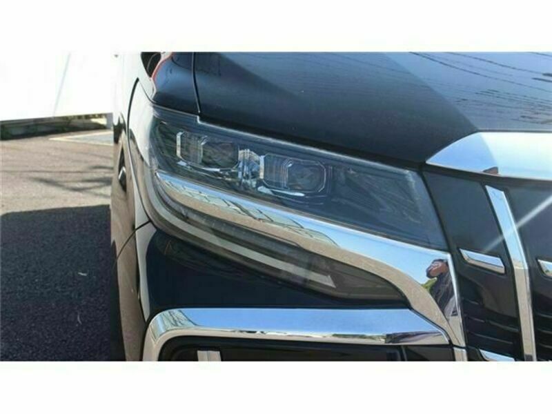ALPHARD-10