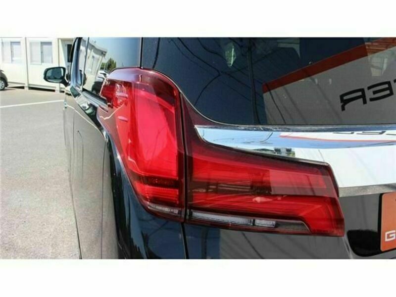 ALPHARD-11