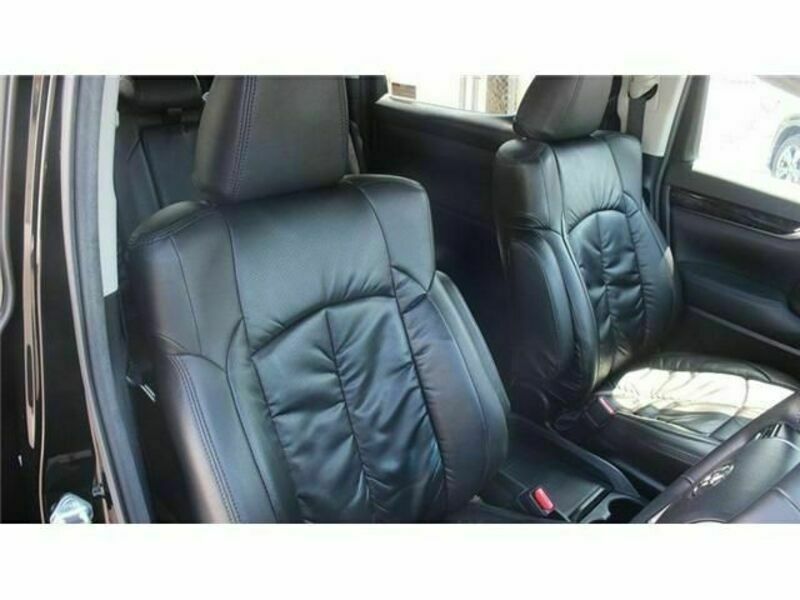 ALPHARD-13