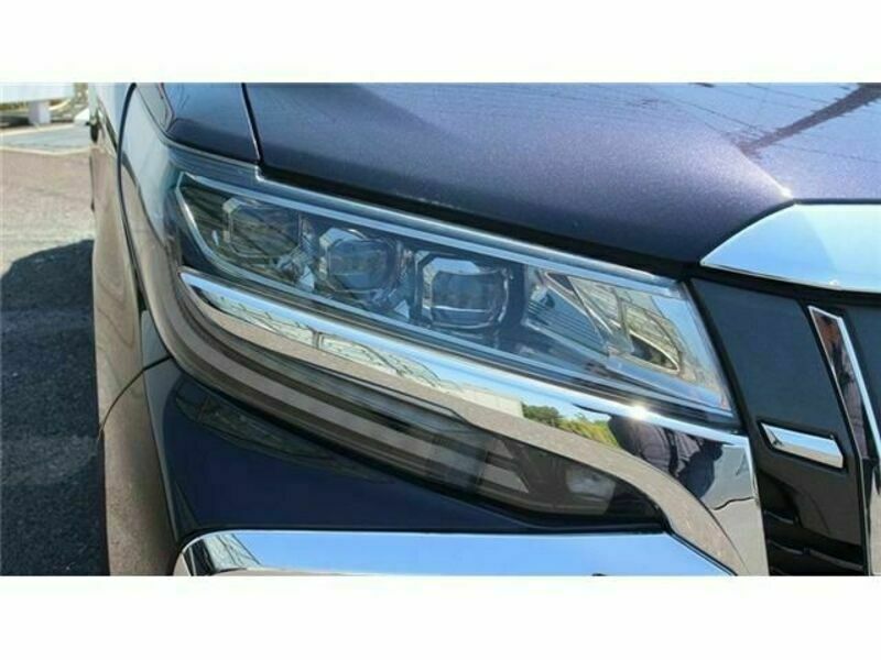 ALPHARD-10