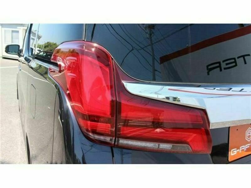 ALPHARD-11